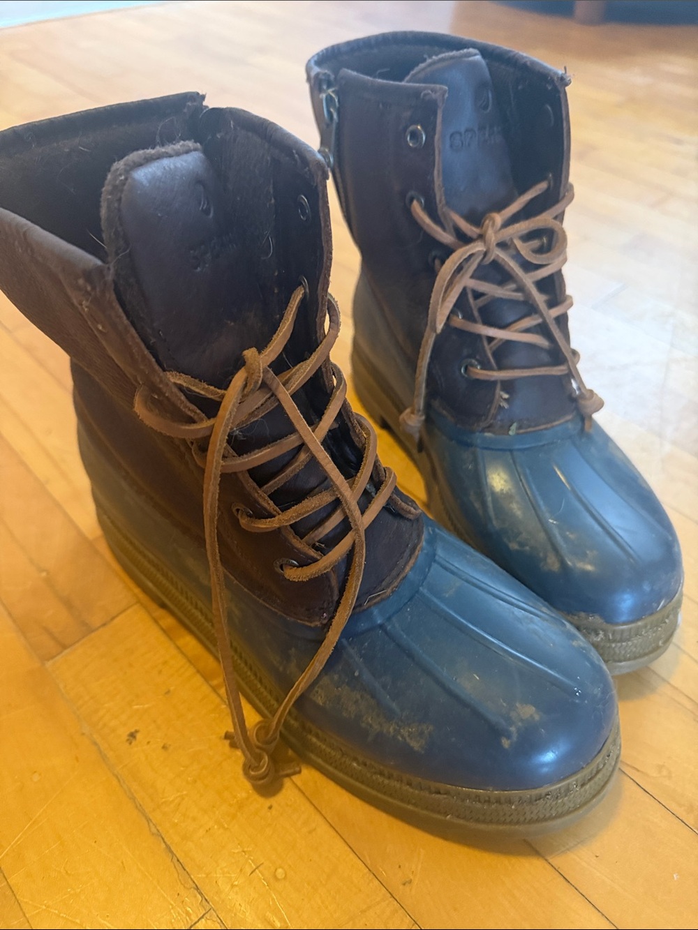 Sperry boots